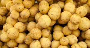 Papas