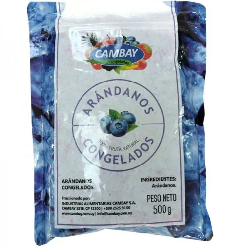 Arándanos Congelados Cambay 500 g